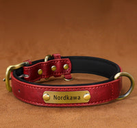 Nordkawa Lettering anti-lost dog collar leather small and medium-sized dog collar pet collar