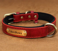 Nordkawa Lettering anti-lost dog collar leather small and medium-sized dog collar pet collar